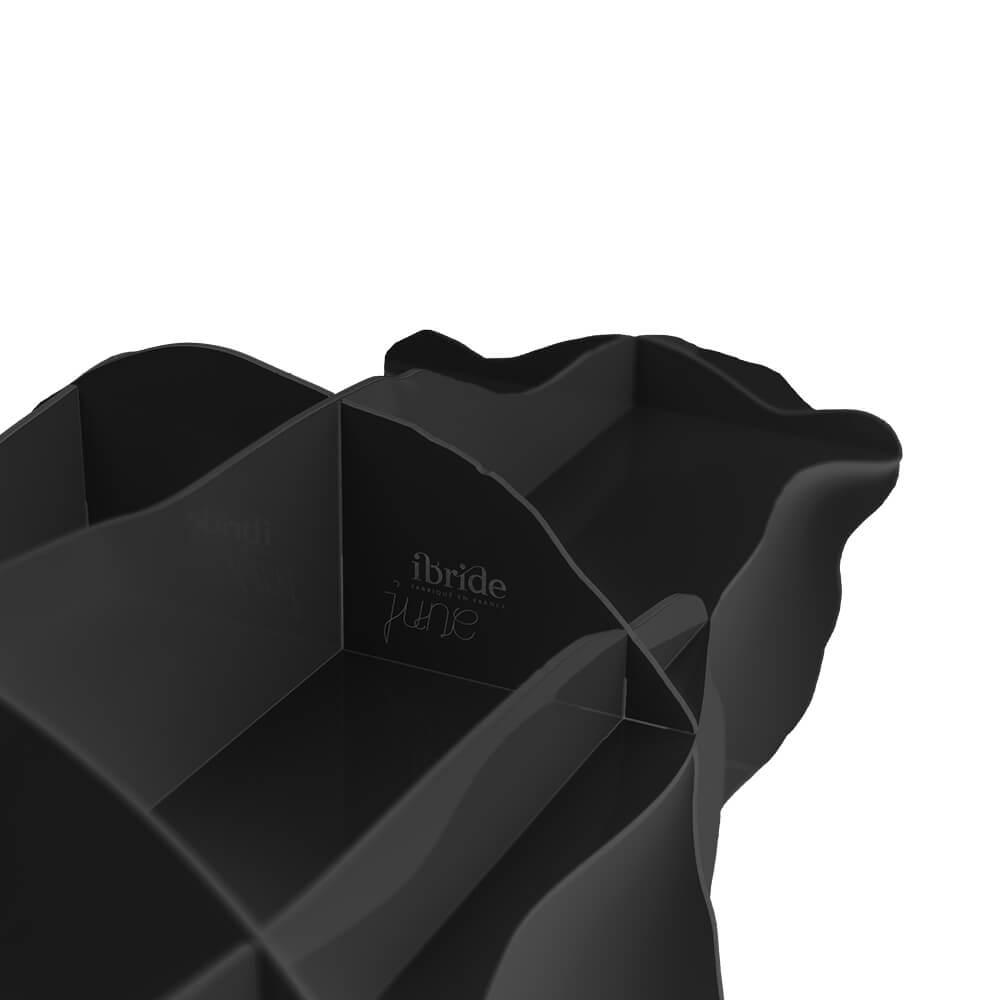 JUNE Black Bookshelf — Ibride