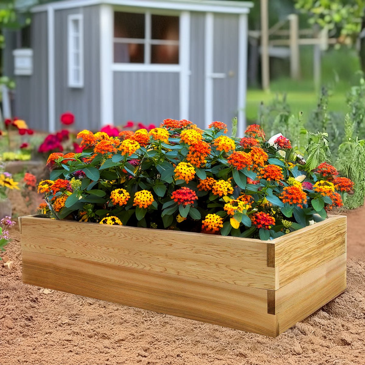 All Things Cedar 4-ft x 2-ft 2-Tier Raised Garden Box – view 5