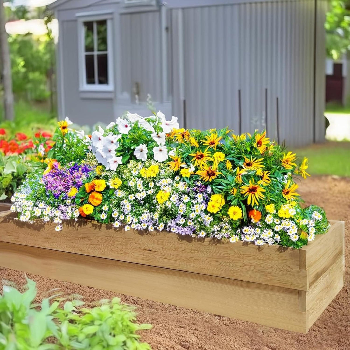 All Things Cedar 6-ft x 2-ft 2-Tier Raised Garden Box – view 5